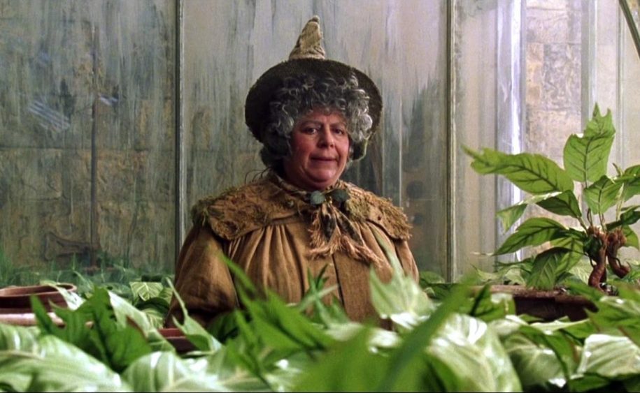 A atriz na pele da professora Pomona Sprout em 'Harry Potter'