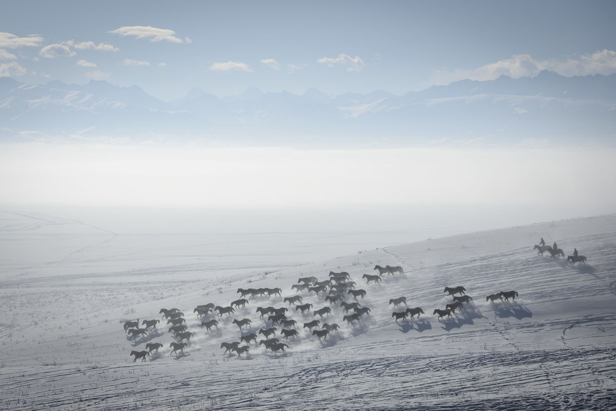 Cavalos num campo de neve no município chinês de Zhaosu, em Yili (REUTERS/China Daily)
