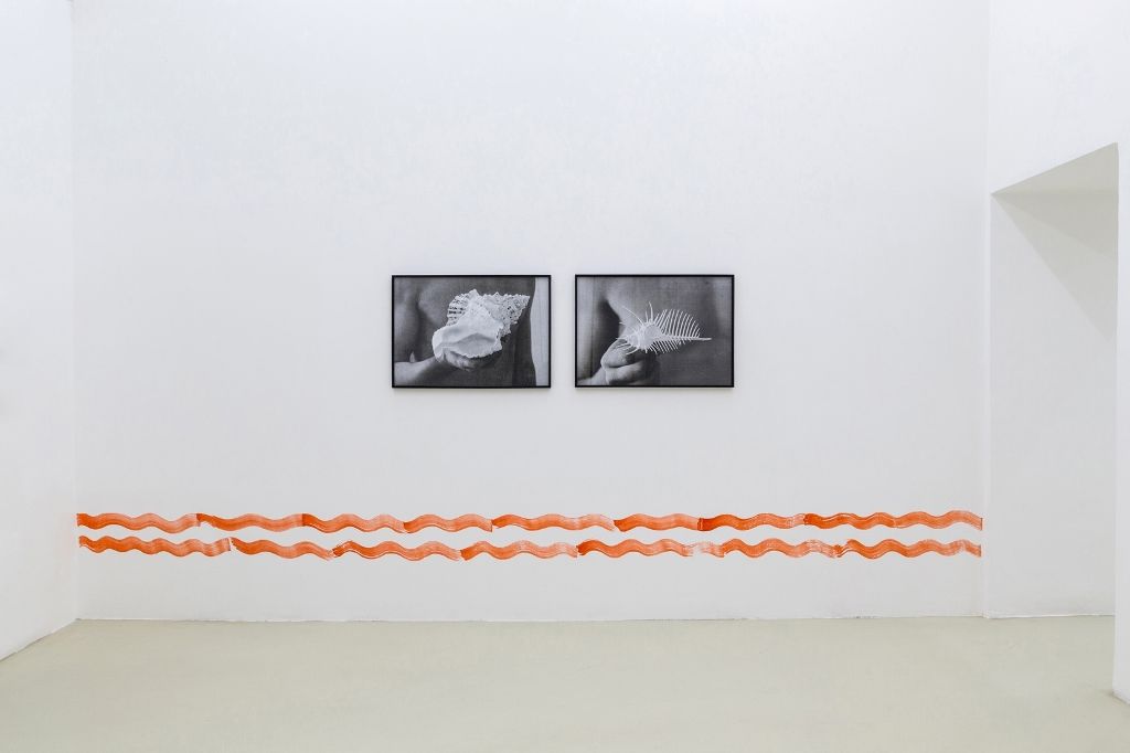 42.UMBERTO DI MARINO.Ana Manso – Andr+® Rom+úo, Sirena, 2015, exhibition view at Galleria Umberto Di Marino