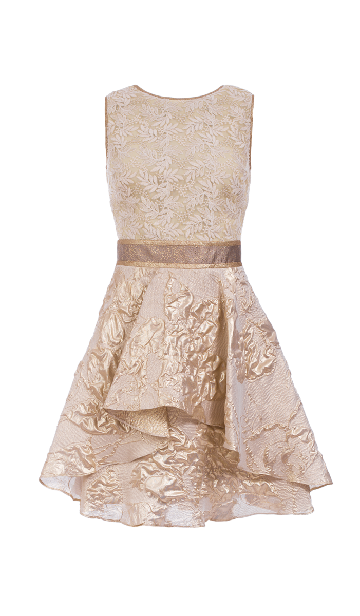 Nicole Miller_Gold Metallic A-line Dress_Aluguer _85