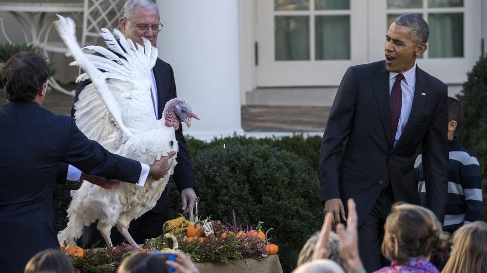 US President Barack Obama pardons the National Thanksgiving Turkey during a ceremony in the Rose Garden