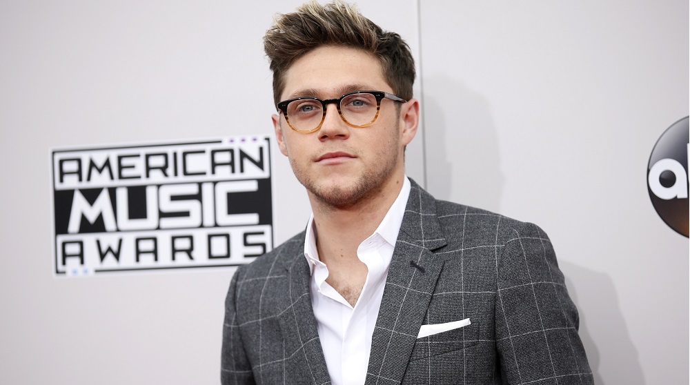 Singer Niall Horan arrives at the 2016 American Music Awards in Los Angeles