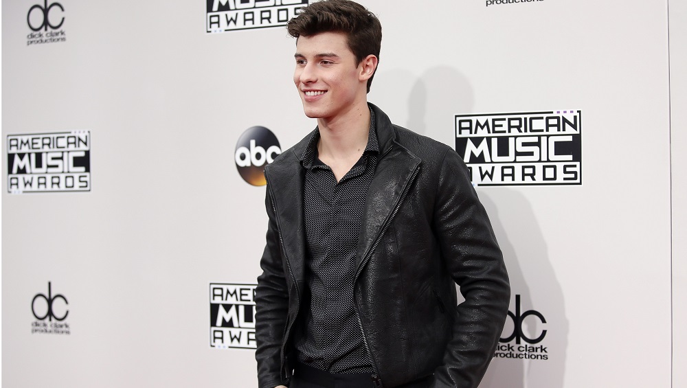 Shawn Mendes arrives at the 2016 American Music Awards in Los Angeles