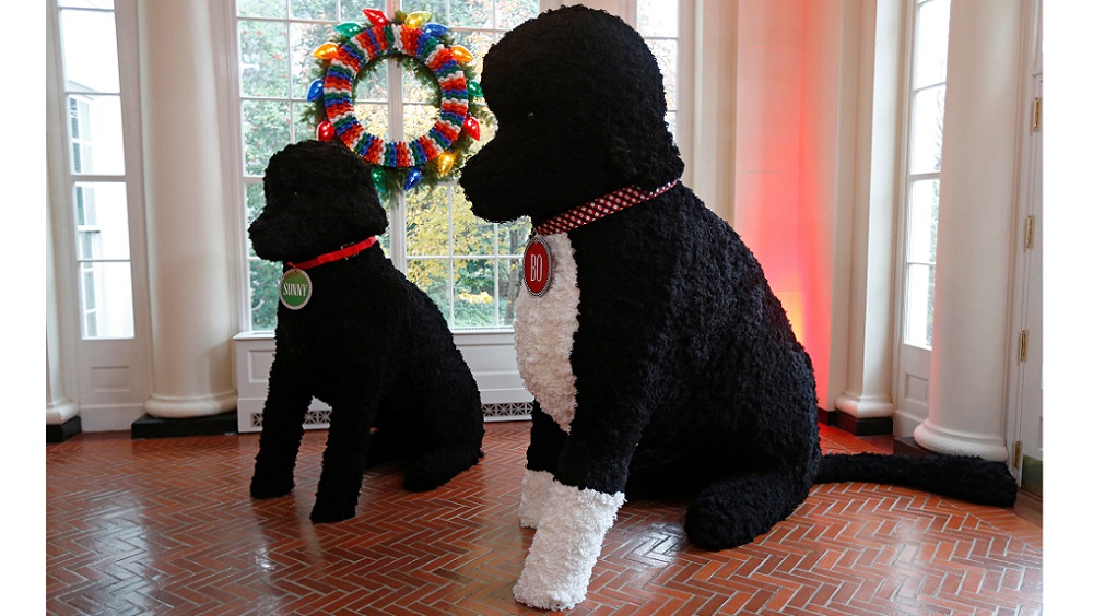 The Obama dogs Sonny and Bo replicas are seen during a holiday decor preview at the White House in Washington
