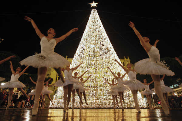Inauguração da árvore de Natal na cidade Porto