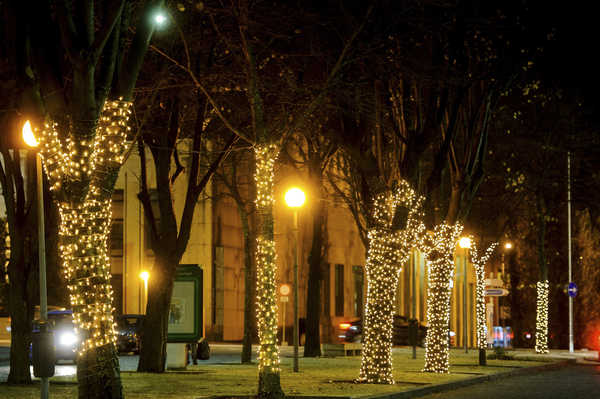 Iluminações de Natal em Matosinhos