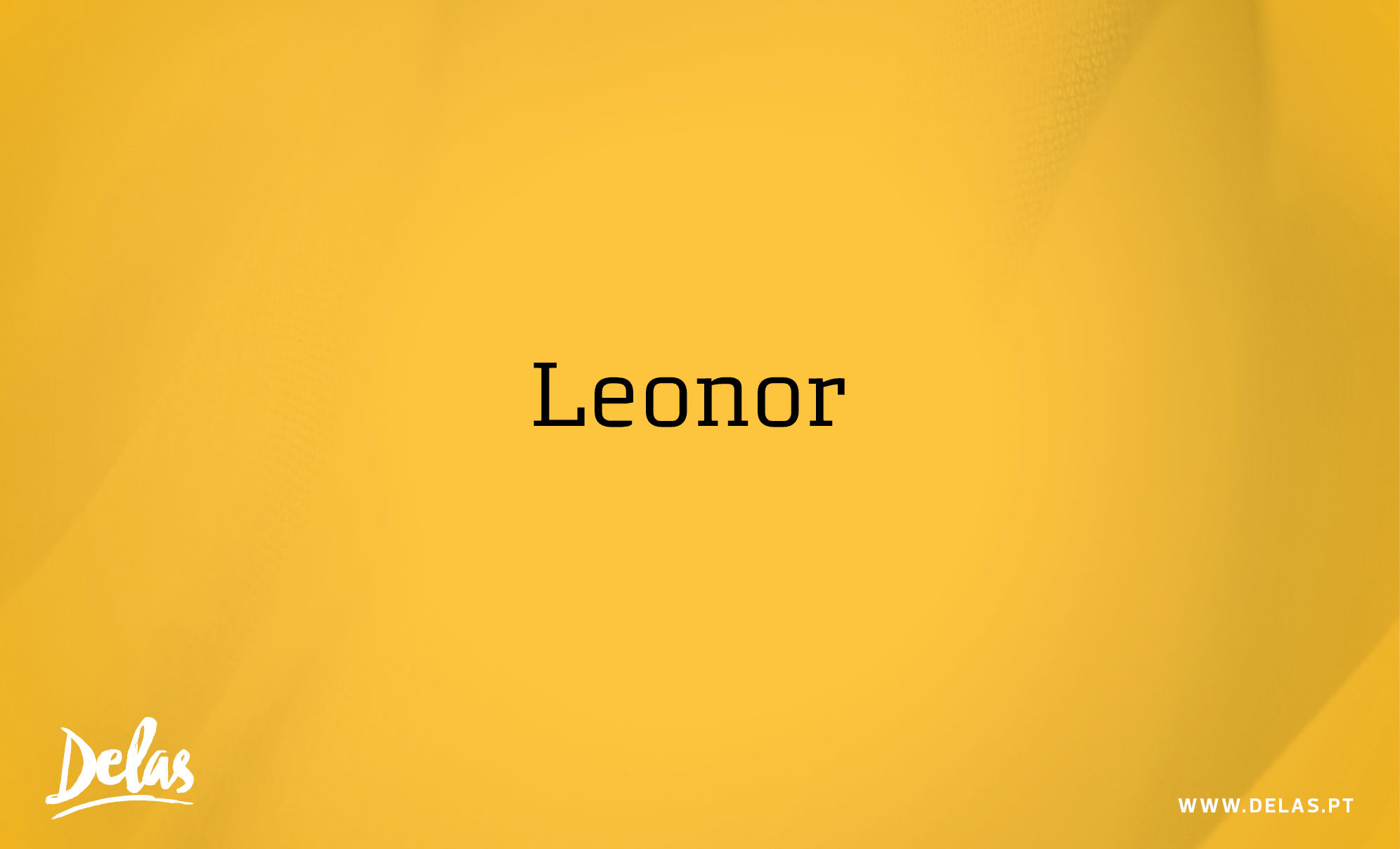 3-leonor