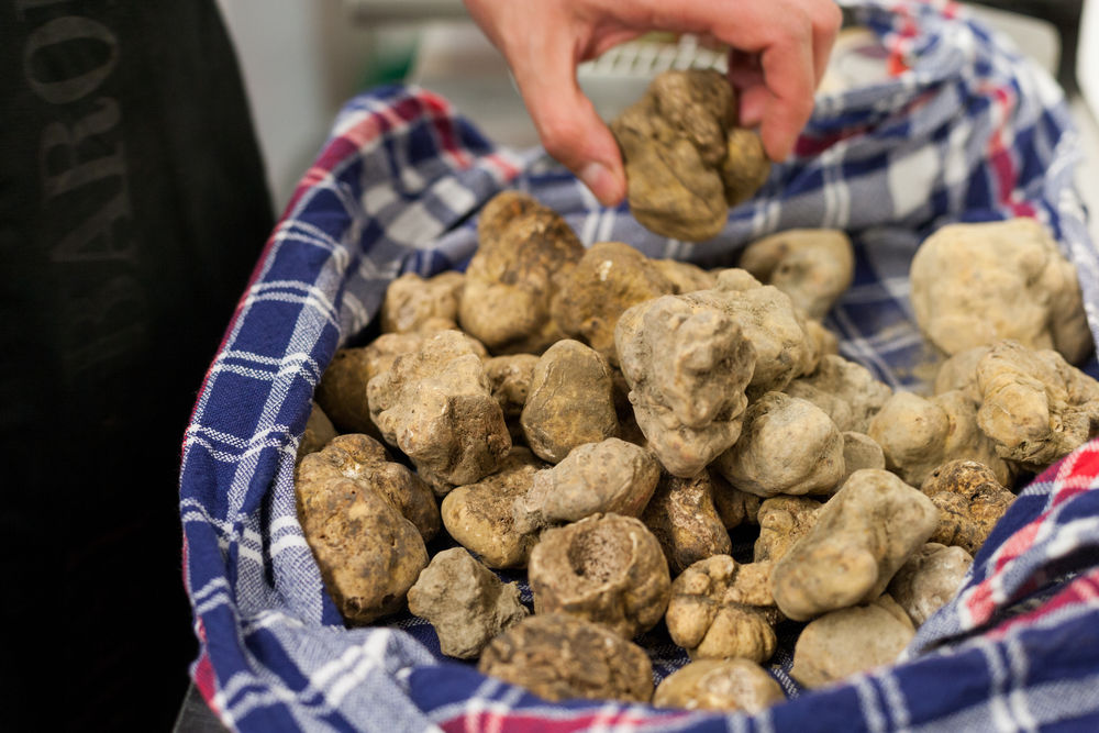 19-alba-white-truffles
