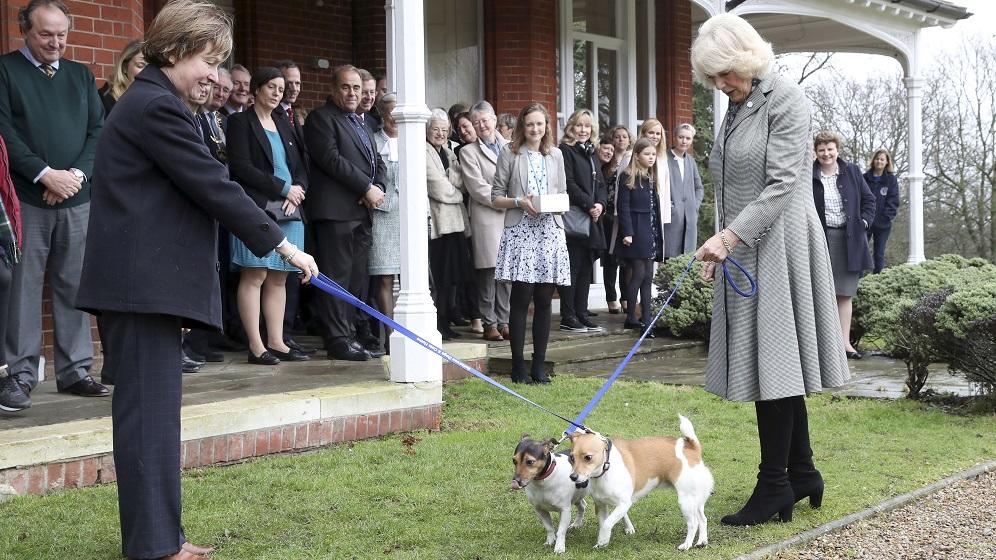 Camilla, Duchess Of Cornwall with her dog Beth during her visit to Battersea Dogs and Cats Home in Old Windsor