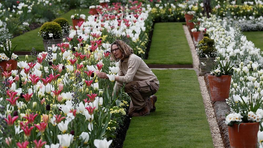 A gardener poses for a photograph at the Princess Diana memorial garden at Kensington Palace in London