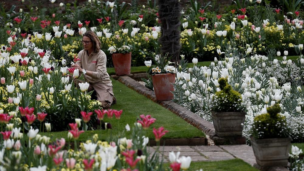 A gardener poses for a photograph at the Princess Diana memorial garden at Kensington Palace in London
