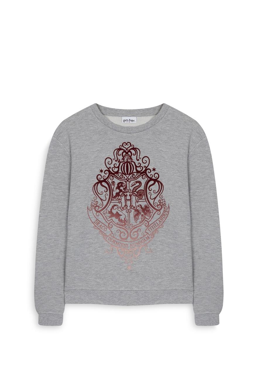 Sweatshirt Harry Potter, Primark, €14