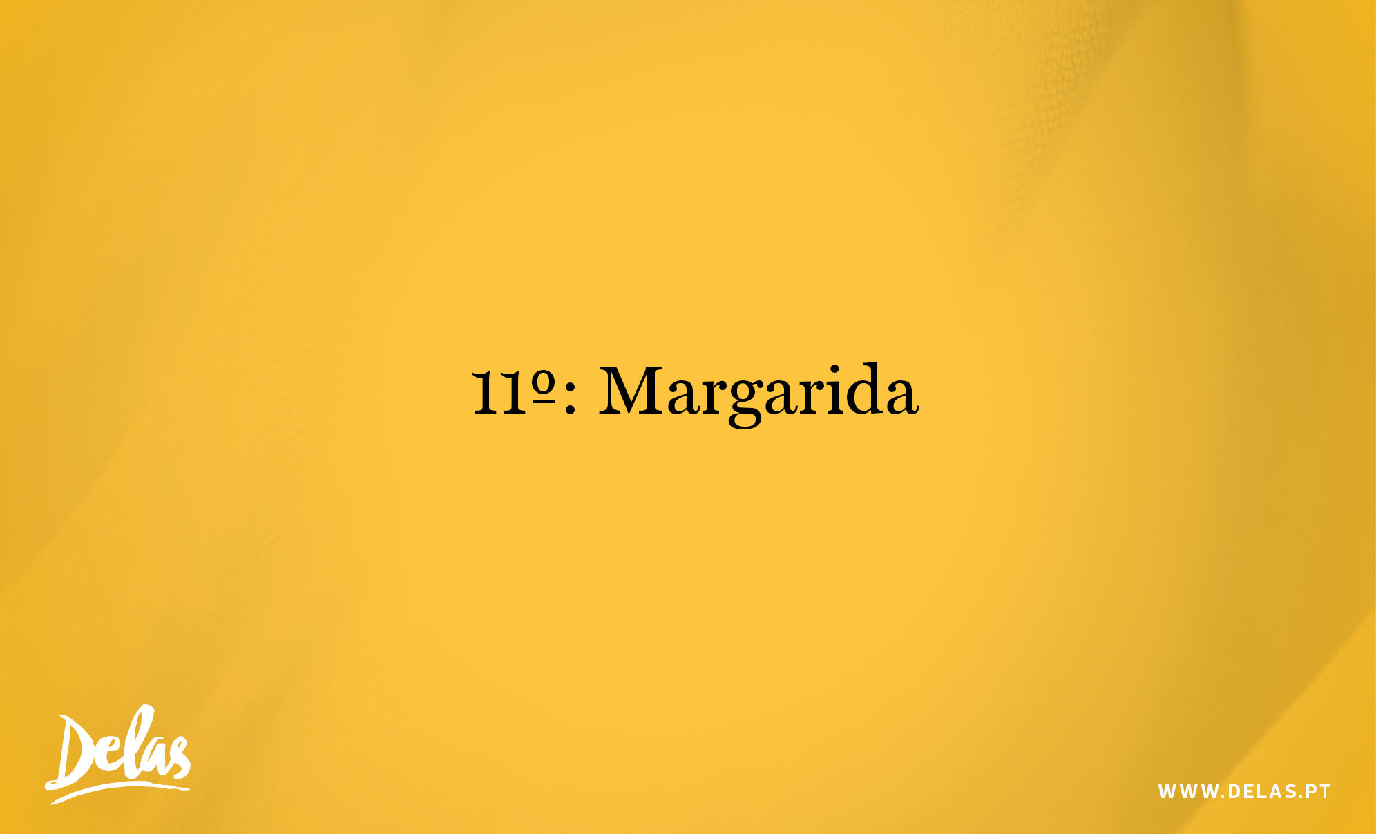 11 Margarida