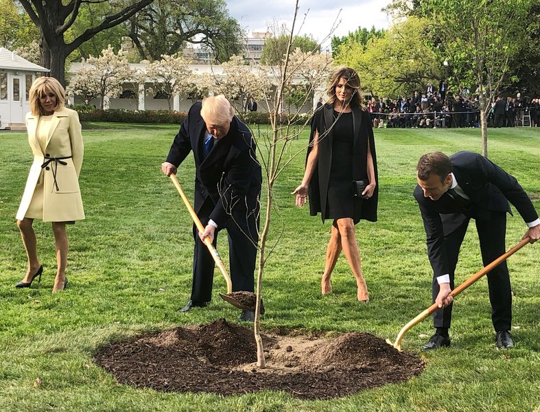 U.S. President Trump and French President Macron shovel dirt as Brigitte Macron and first lady Melania Trump watch at the White House in Washington