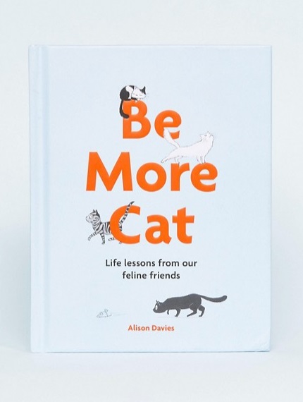 be more cat 11,49
