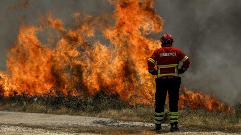 Um ano depois, bombeira partilha frases arrepiantes da tragédia em Pedrogão Grande