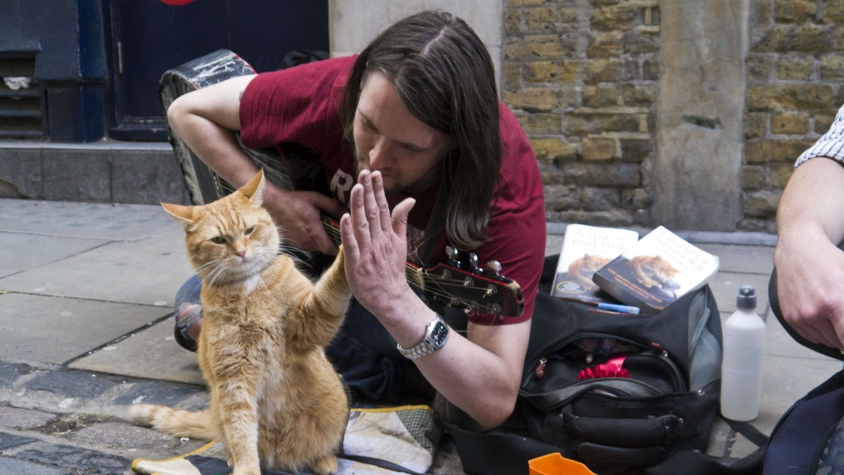 Bob_the_Street_Cat_high-fives_his_official_biographer_James_Bowen_on_the_publication_of_their_new_book