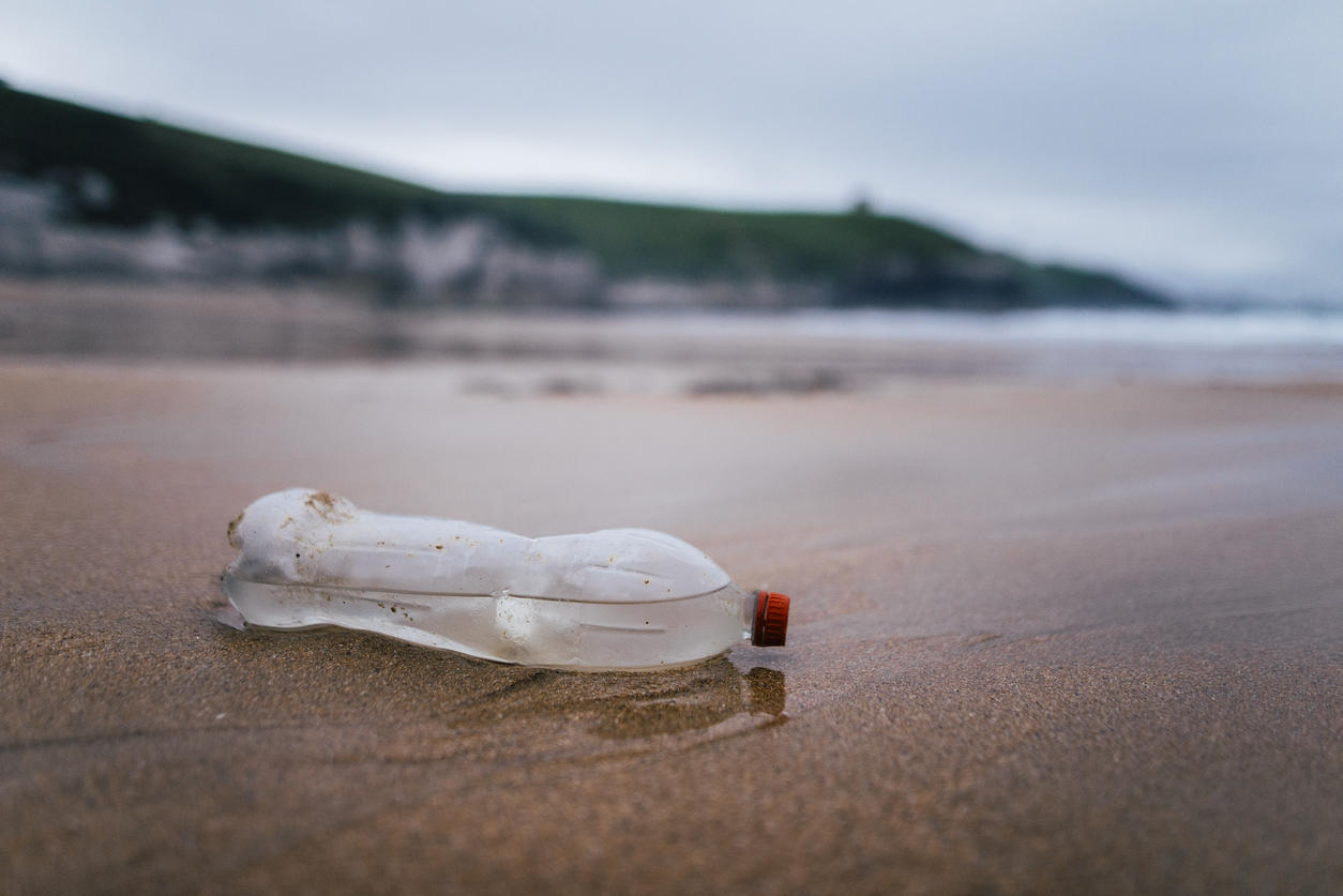 Plastic bottle on beach – Pollution.
