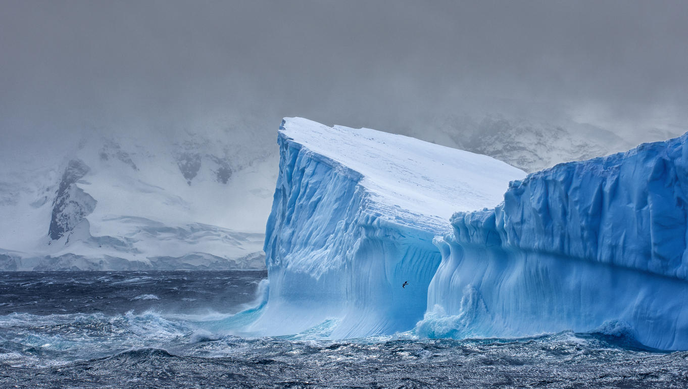 Massive Iceberg floating in Antarctica