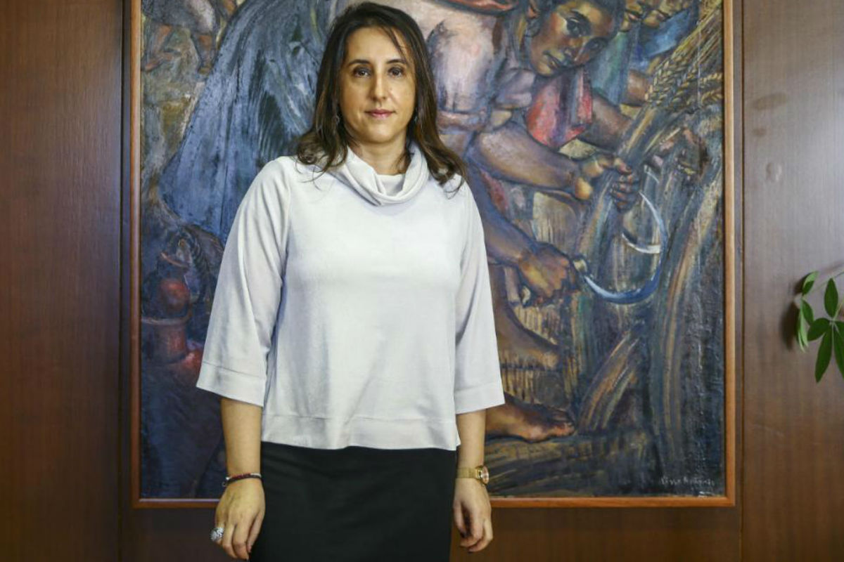 Secretária de Estado para a Cidadania e a Igualdade, Rosa Monteiro [Fotografia: Leonardo Negrão/Global Imagens]