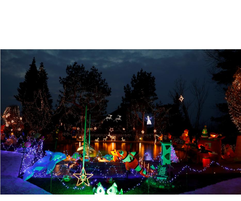 A general view shows the garden of the so called Christmas-House of family Gollnhuber in Bad Tatzmannsdorf, Austria December 2, 2018. Picture taken December 2, 2018. REUTERSLeonhard Foeger