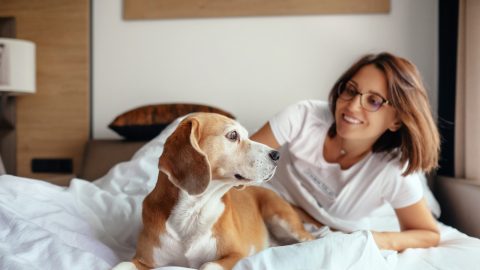 Mulheres dormem melhor com um cão do que com um homem