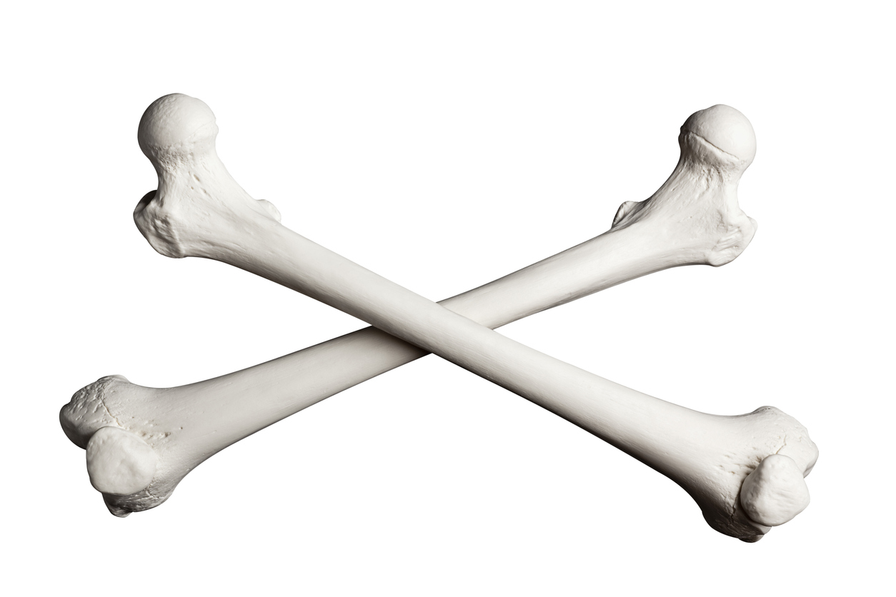 Crossed Bones on a White Background.