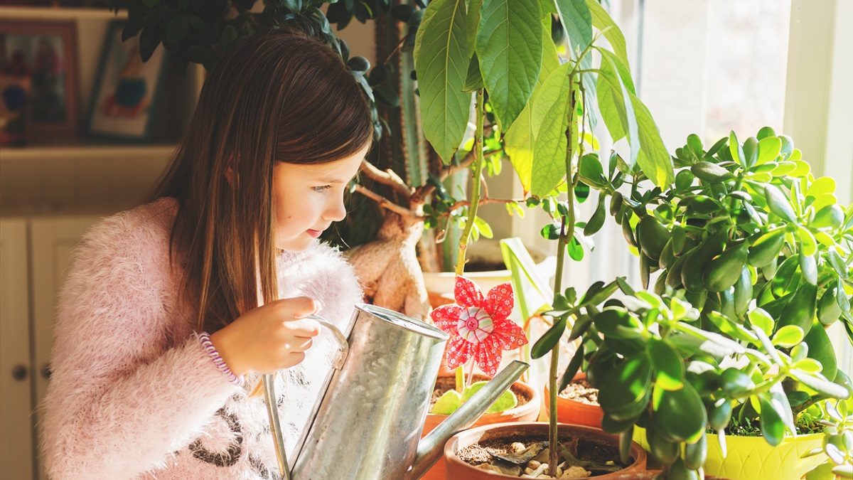 Little girl watering home plants in pots