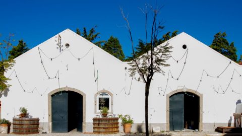 Quinta da Boa Esperança: Nesta quinta a uma hora de Lisboa pode beber vinho à beira da piscina