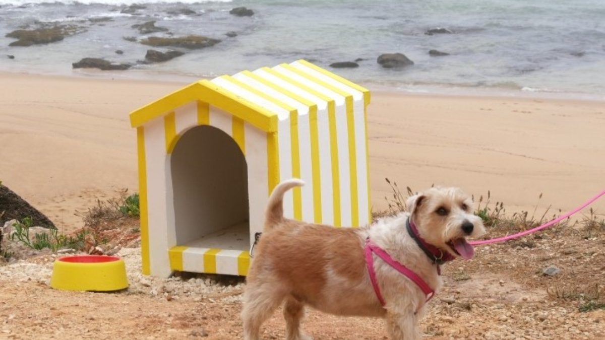 Torres Vedras_praia para cães(1)