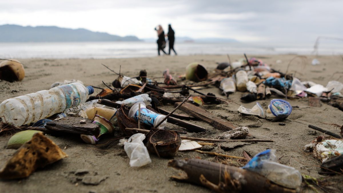 Plastic pollution in the sea