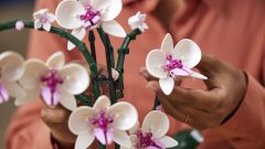 Flores lego orquídeas suculentas dia da mãe