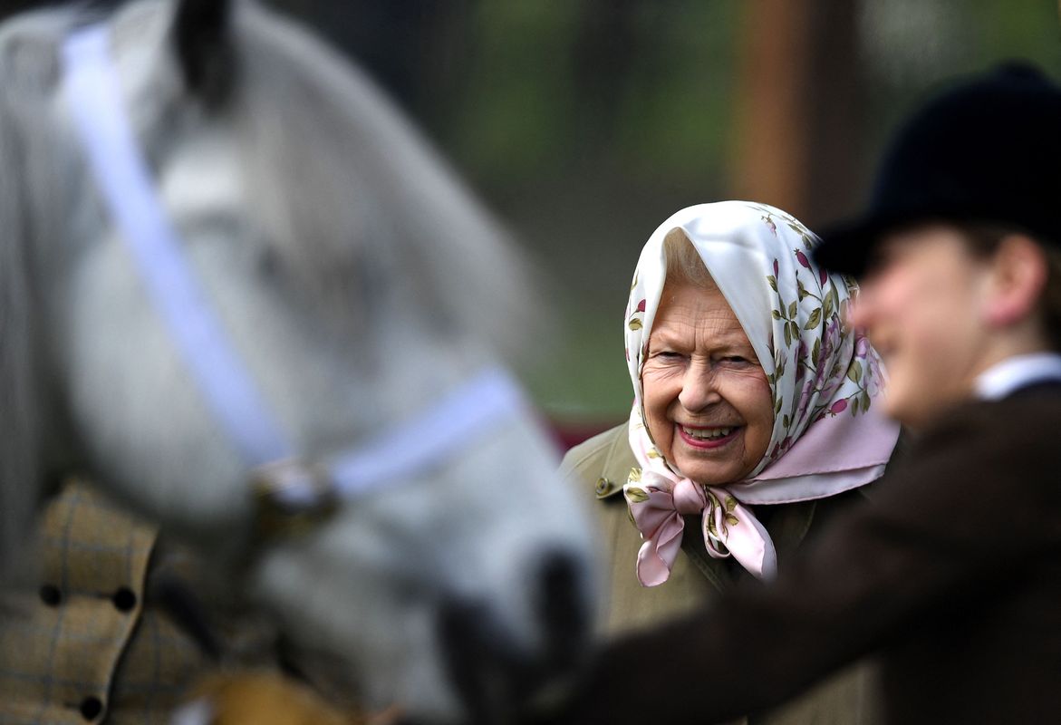 Rainha Isabel II volta a montar a cavalo depois de aparecer publicamente  com uma bengala – Observador