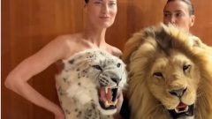 semana da moda de Paris leão lobo polémica PETA