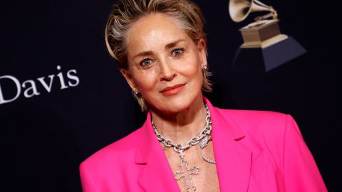 Sharon Stone mãe custódia filho Instinto fatal filme