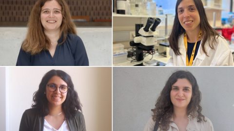 As investigadoras Andreia Pereira, Joana Sacramento, Raquel Boia, Sara Peixoto Mulheres na ciência
