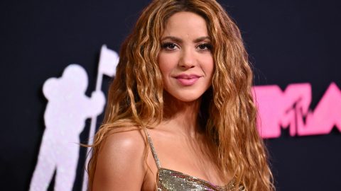 Shakira estrela Pop mulher mãe solteira difícil conciliar