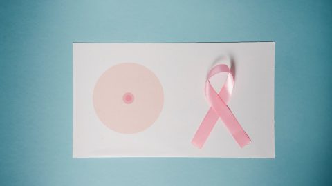 cancro da mama doe amostra sangue estudo