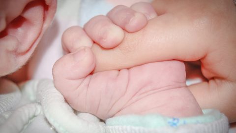 bebés recém-nascidos nomes INE nascimentos Maria Francisco
