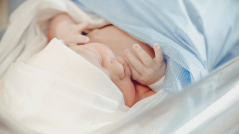 bebés recém-nascidos EUA