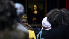 Mona Lisa sopa ativistas ambientalistas ambientais