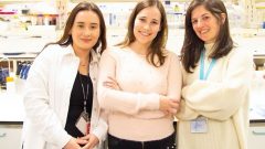 Investigadoras Maria Pereira, Diana Ribeiro e Ana Raquel Soares [Fotografia: Universidade de Aveiro] Alzheimer tratamento diagnóstico doneça