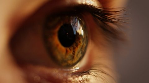 Worldcoin Iris olhos dados biométricos