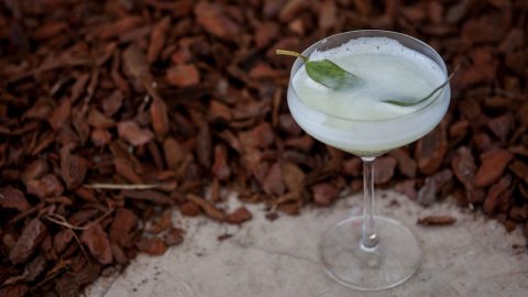 Lisbon bar show cocktails bebidas com álcool e sem álcool