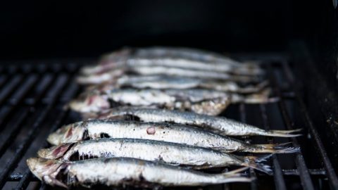 sardinha carnes vernelha mortes poupar estudo